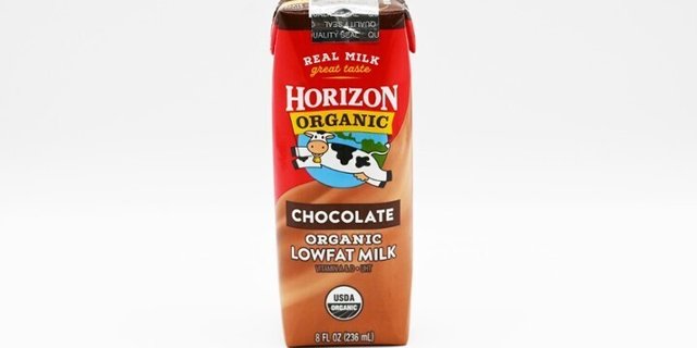 Horizon Organic Chocolate Milk