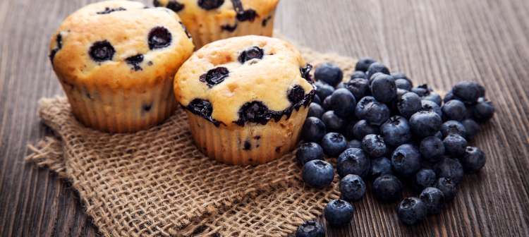 My Favorite Muffin