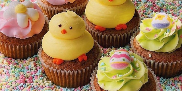 Half Dozen Cupcake
