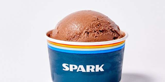 Chocolate Frozen Custard Cup