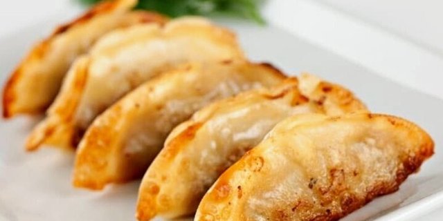 Fried Gyoza Dumplings