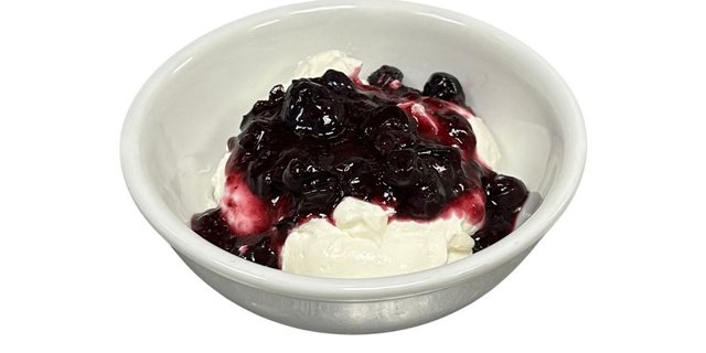 Blueberry Yogurt