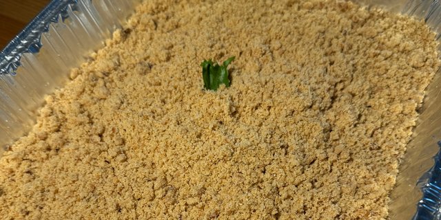 Farofa