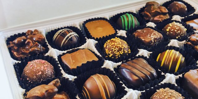 15 Piece Assorted Milk Chocolates
