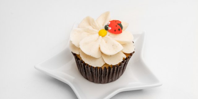 Traditional Cupcakes w/ Floral Frosting