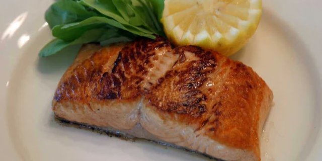 Salmon