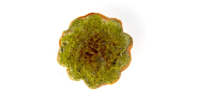 Matcha Creme Brulee Tart