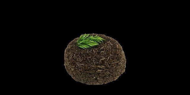 Black Rice