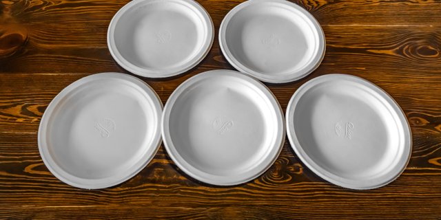 10-Disposable Plates