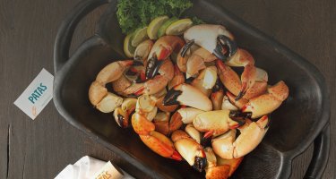Pata's Stone Crab
