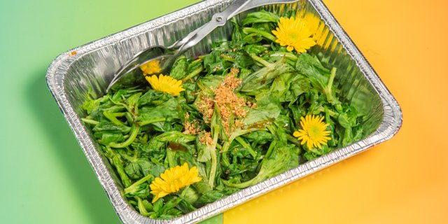 Pea Shoots Tray