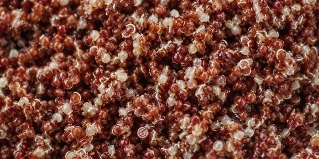 Organic Red Quinoa