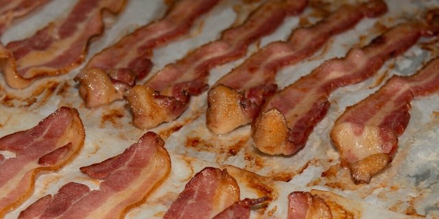 Bacon