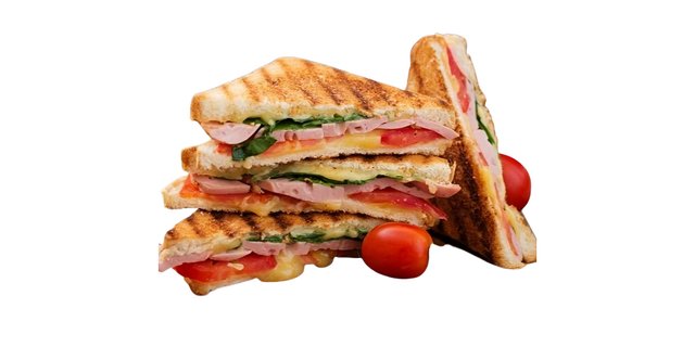 Al's Special Sandwich