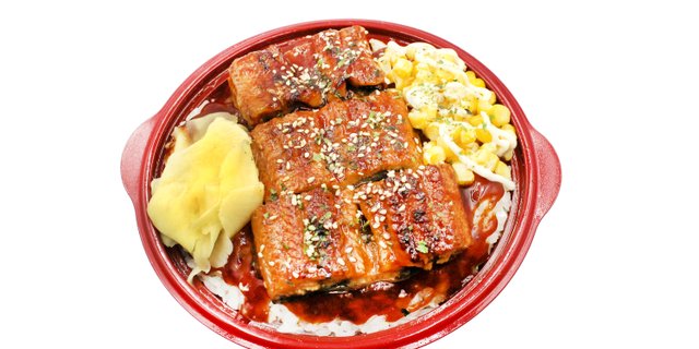 Unagidon Donburi