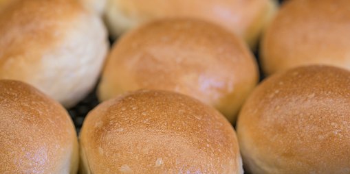 Sheboygan Rolls
