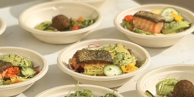 Mini Tropical Salmon Salad Bowl