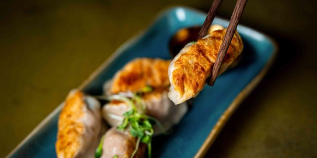 Vegetable Potstickers