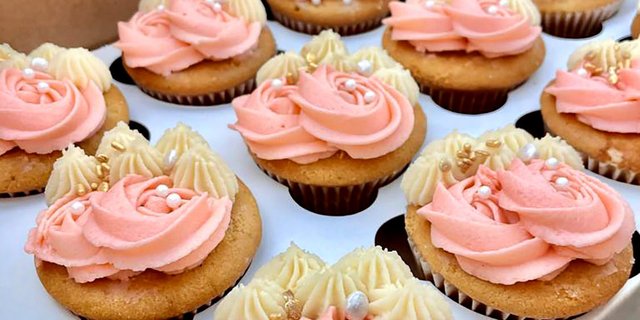 Cupcake Box