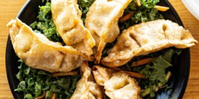 Vegetable Fried Dumplings
