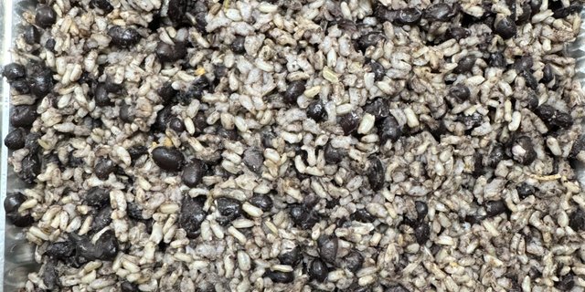 Gallo Pinto