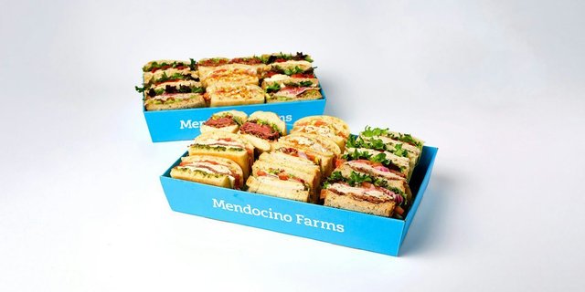 Medium Sandwich Tray