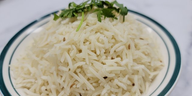 Plain Rice