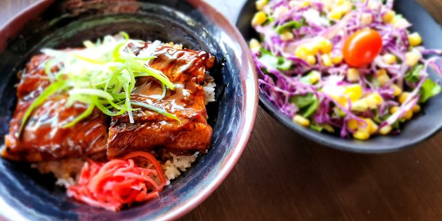 Unagi Don