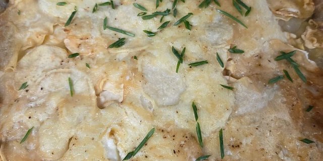 Scalloped Root Gratin