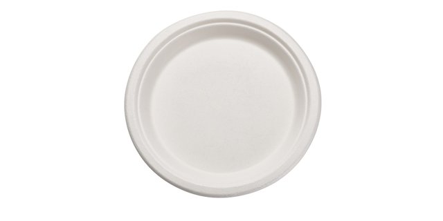 Compostable Sugarcane Plate