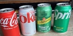 Assorted Individual Sodas
