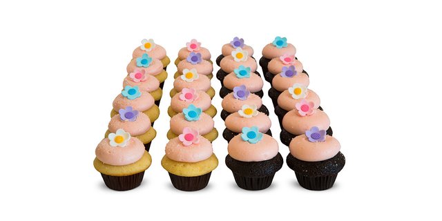 2-Dozen Pink Floral Minis