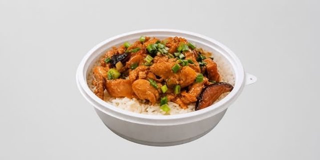 Japanese Scallion Chicken Rice