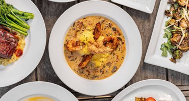 MudBugs