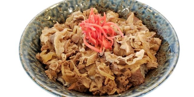 Beef Gyu Don Rice Bowl