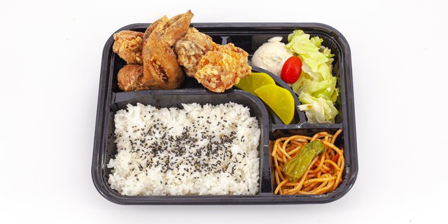 Combination Bento Box
