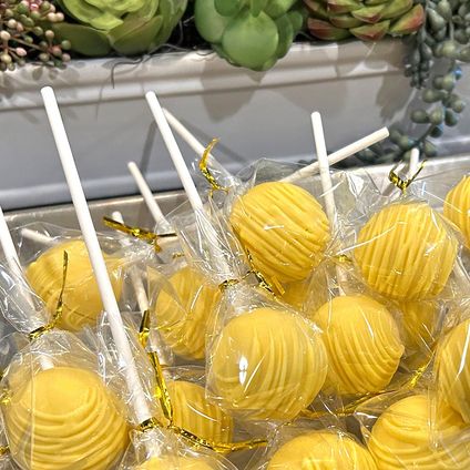Cake Pops w/ Sticks