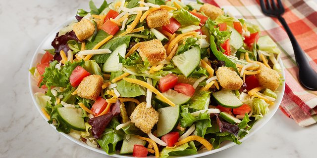 Entree Garden Salad