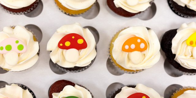 Mushroom Cupcake Gift Box