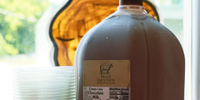 Gallon Chocolate Morell Dairy Milk