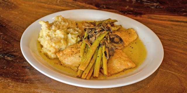Carolina Mountain Trout