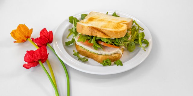 Turkey Sandwich