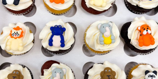Assorted Cupcake Box