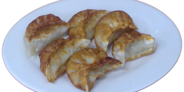 Vegetable Fried Dumplings