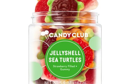 Jellyshell Sea Turts