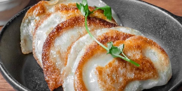 Japanese Dumpling