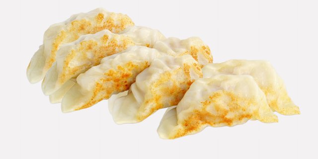 Veggie Gyoza Dumpling Tray