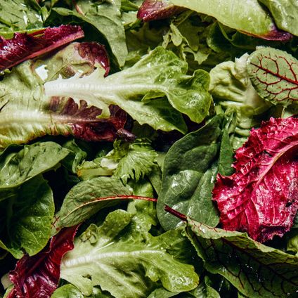 Spring Mix