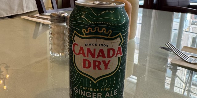 Assorted Individual Sodas