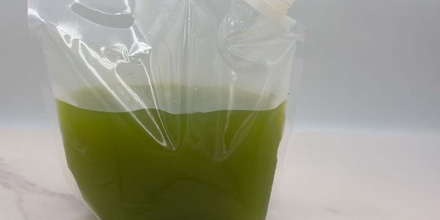 Herbal Limeade Gallon